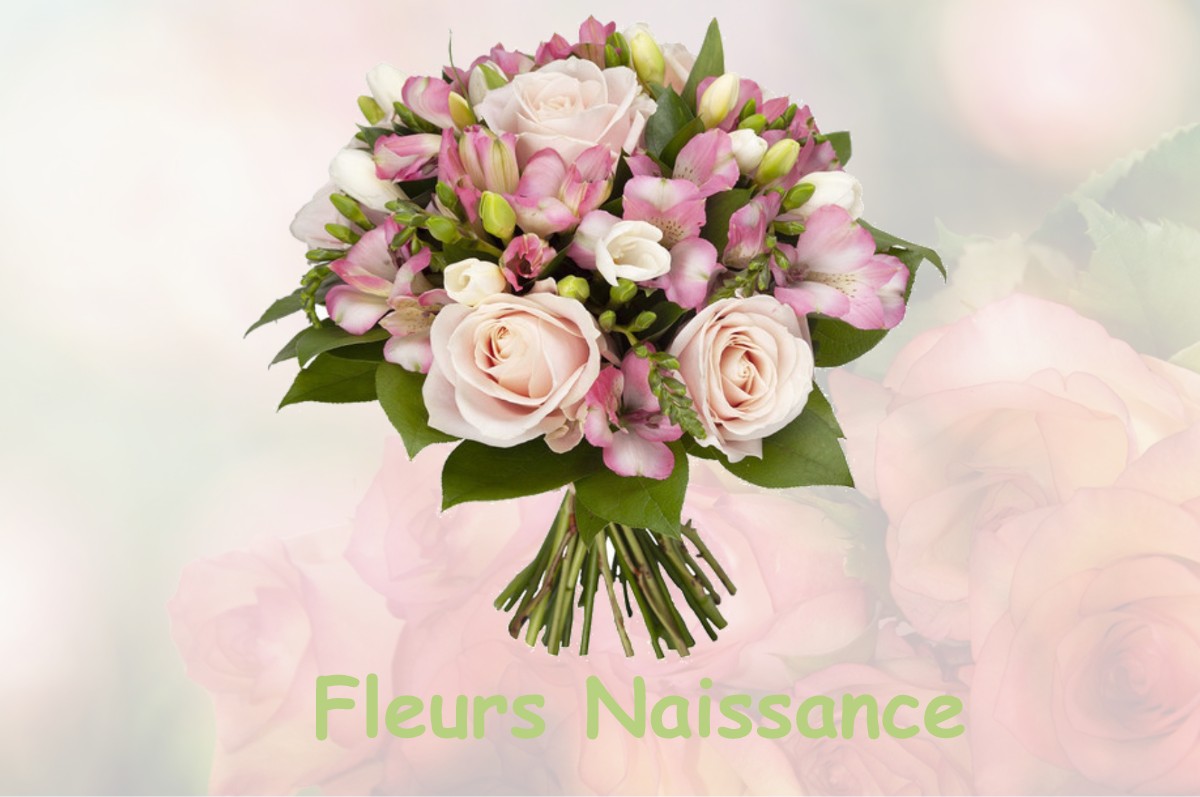 fleurs naissance AUBAGNE